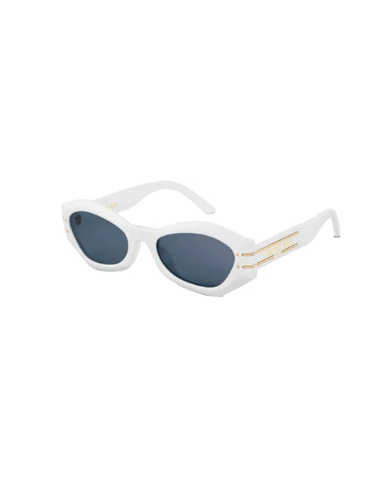 DIOR SIGNATURE B1U 50B0