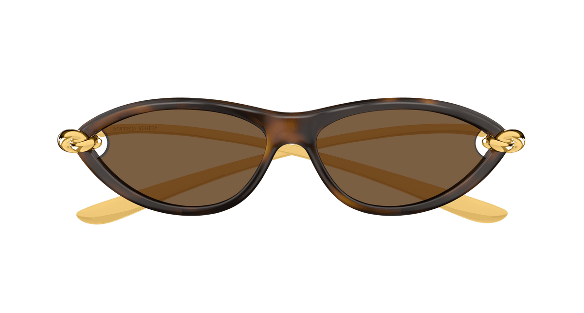 Bottega Veneta BV1390S 002