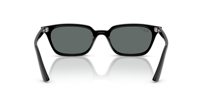Ray Ban Zaya RB4456 - Black